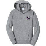 Lady Badgers Youth Fan Favorite Fleece Pullover Hooded Sweatshirt